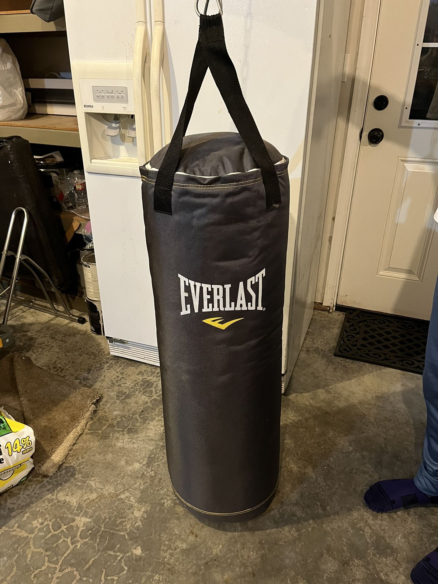 Punching Bag - Everlast 70lbs  W/chain