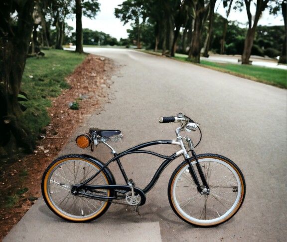 Custom 4 Speed Dyno Cruiser Bike Bicycle