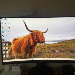 165 hz 1080p 24in Curved dell Gaming Monitor