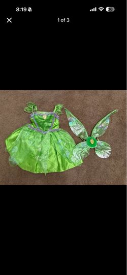 Tinkerbell and wing costume
