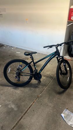 Mountain bike