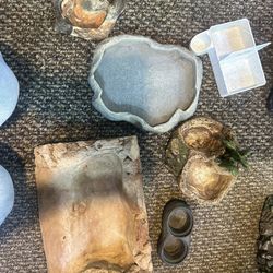 reptile water bowls