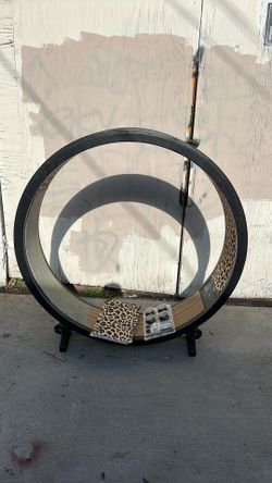 One fast cat wheel