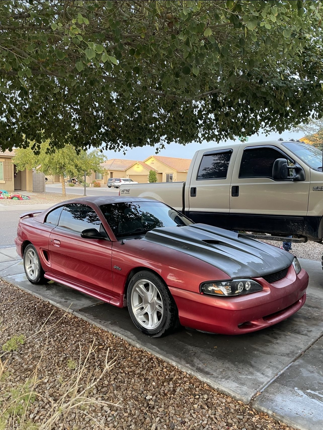 1998 Ford Mustang