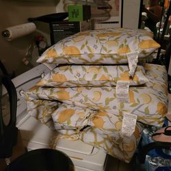 Lounge Cushion and Pillow Set