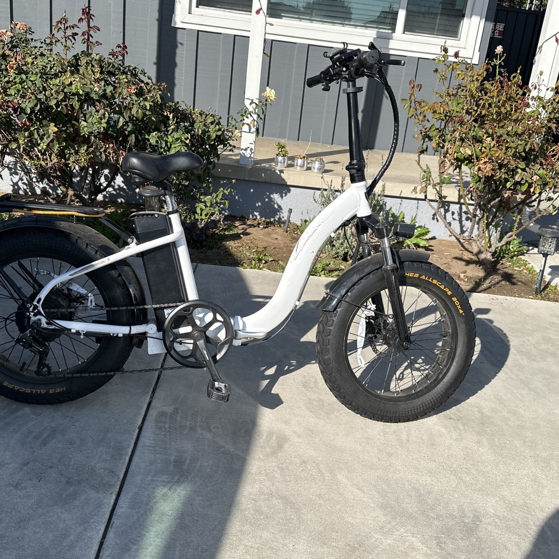 Electric Bike