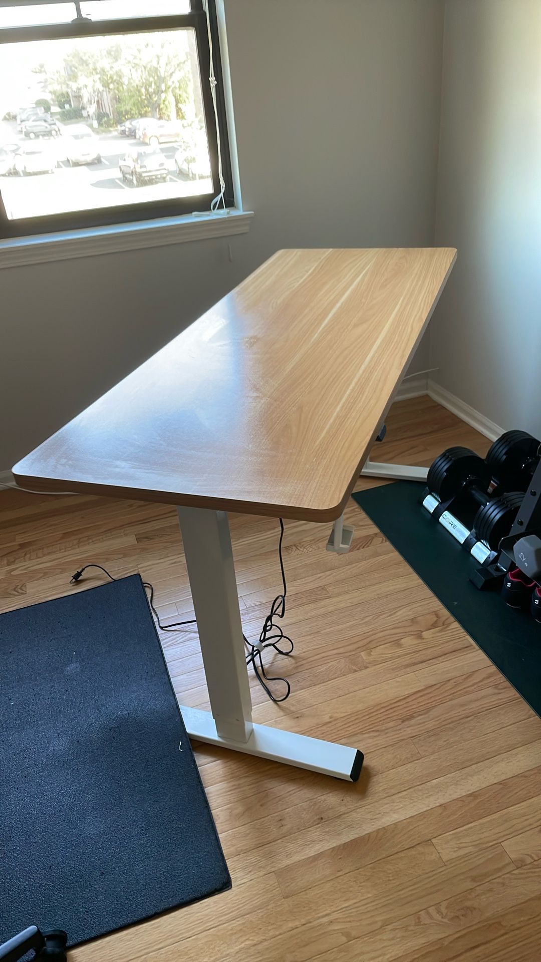 Electronic Standing Desk