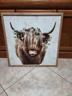 Rustic Buffalo photo