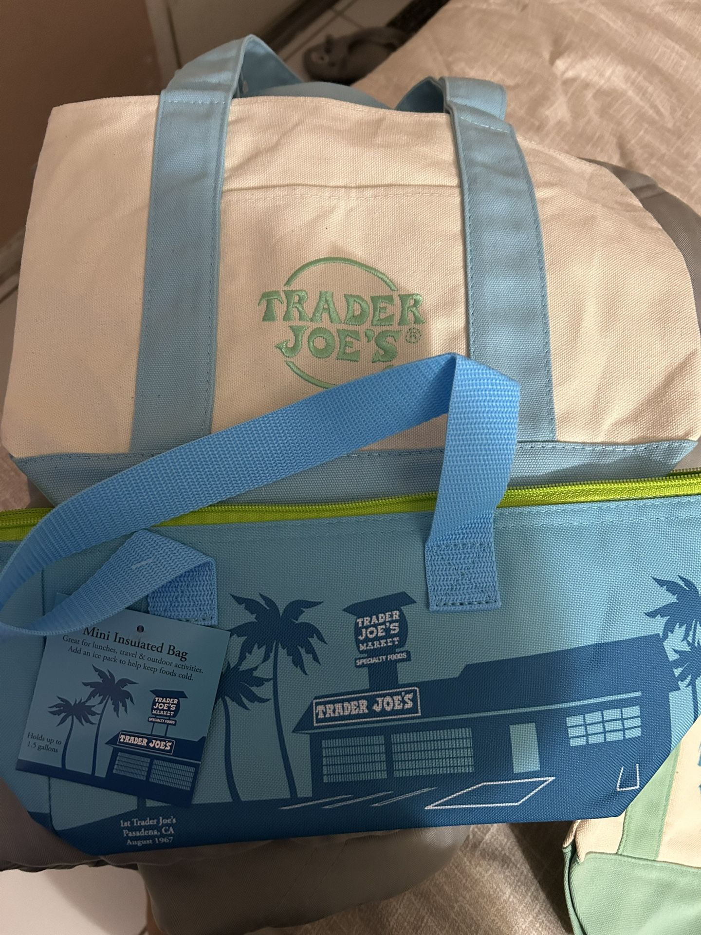 Baby Blue Trader Joe