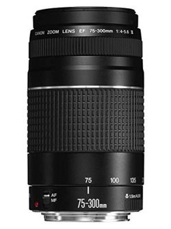 Cannon Ef 75-300mm lens