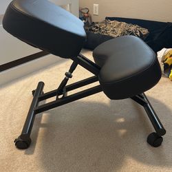 Ergonomic Chair
