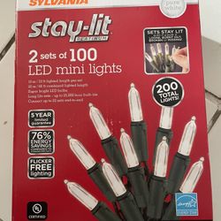 LED Mini Lights- 2 Sets 1 Package