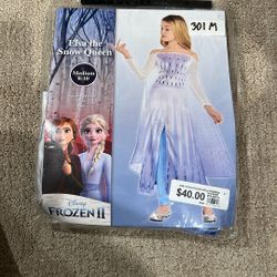 Elsa Frozen Costume