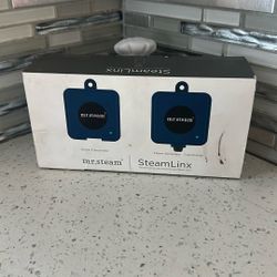 Mr.Steam Steam link 