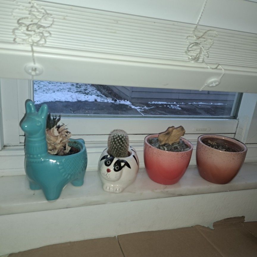 (4) Planters! All For $20.00.