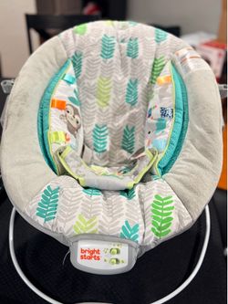 Baby Bouncer