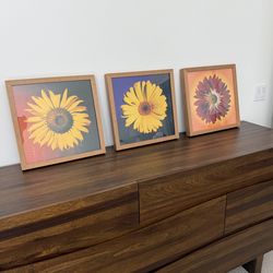 Set of 3–Modern Flower Photo Art