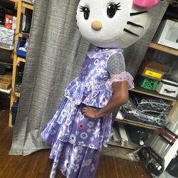 π USED HELLO KITTY MASCOT COSTUME (PURPLE DRESS) β ADULT SIZE π  π± Character: Hello Kitty (Purple Dress Edition) π¦ Condition: Used β what you see