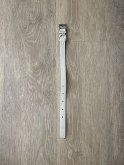 Dog Collars And Leash