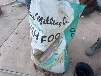 FREE FISH FOOD