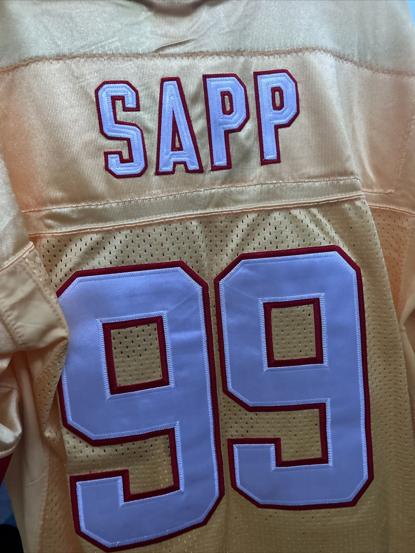 Vintage Warren Sapp Jersey