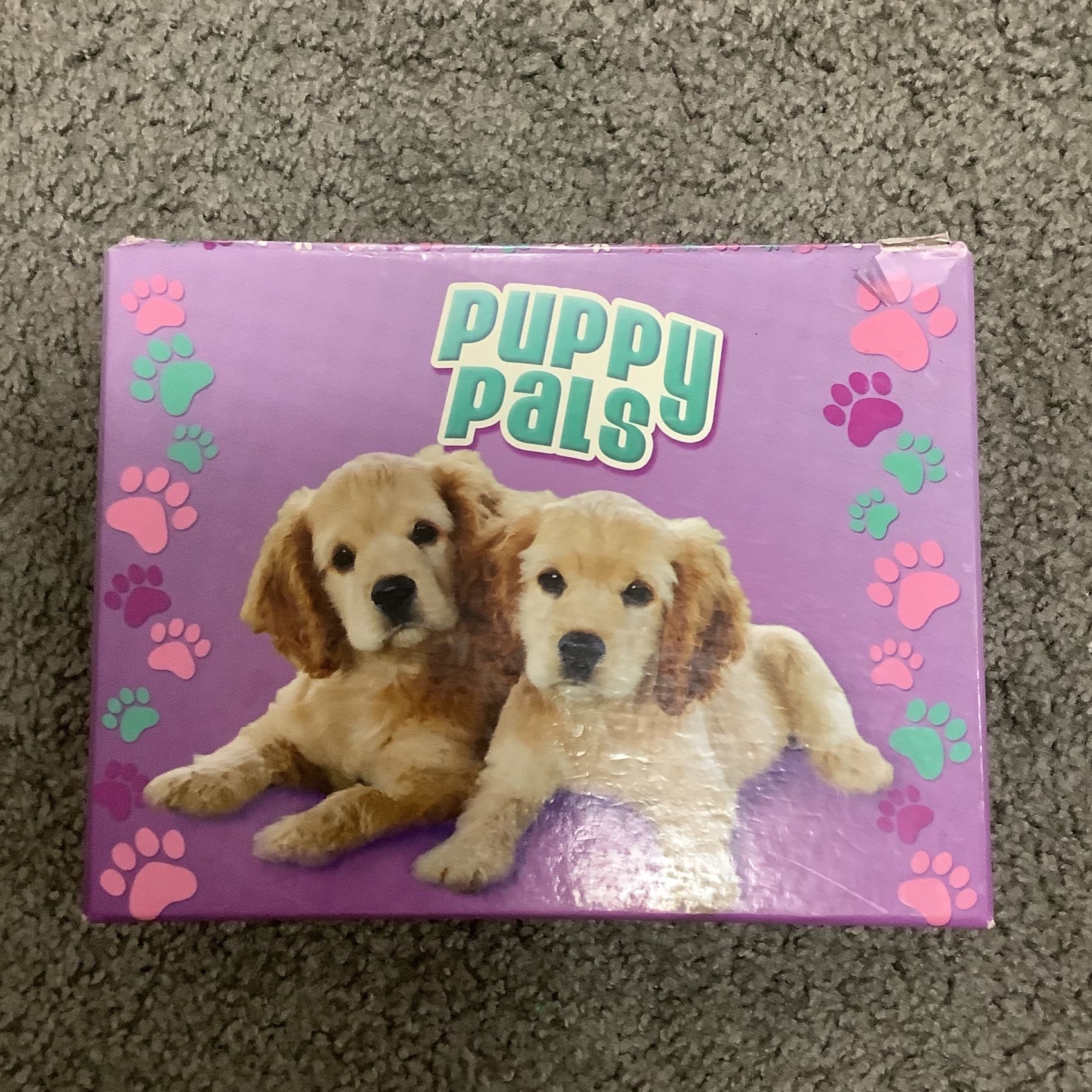 Puppy Stationary Box