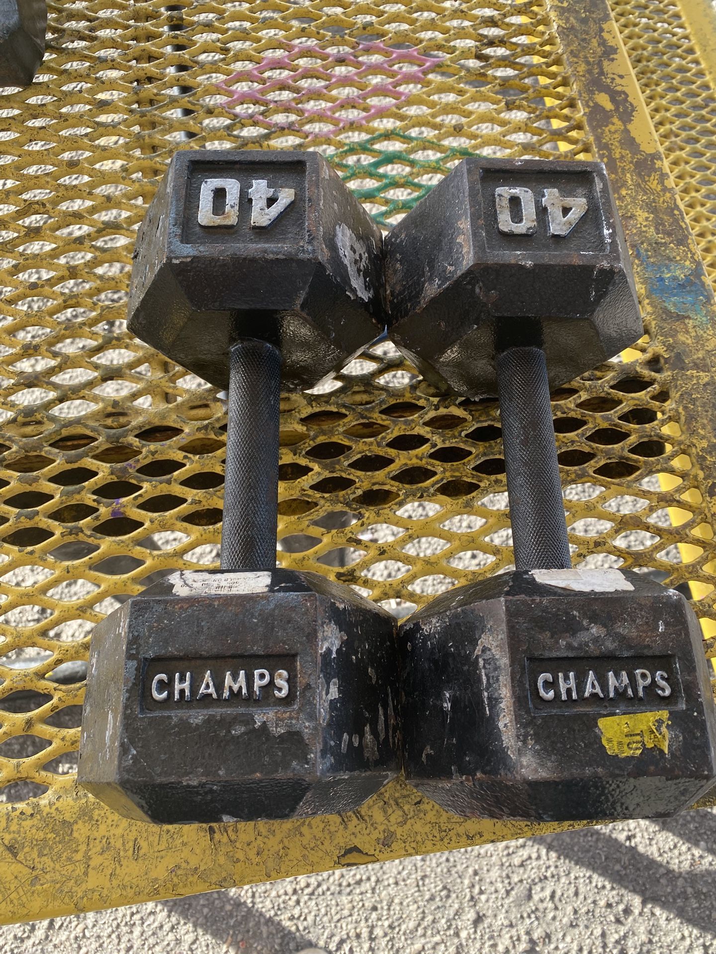 40 Pound Dumbbells