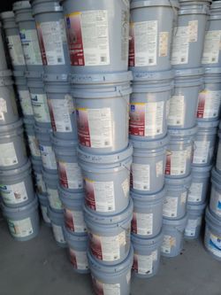 Paint and primer