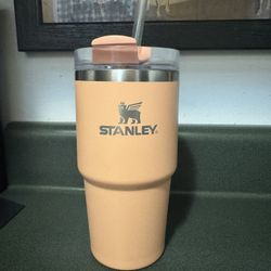 Stanley Cup 20oz In Color Melon