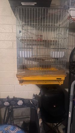 Bird cage