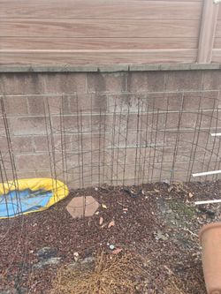 Wire tomato cages