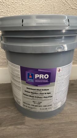 Pro industrial paint 🎨 Sherwin Williams
