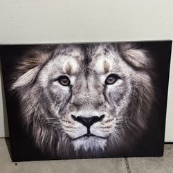 Nice Pictures For Sale 