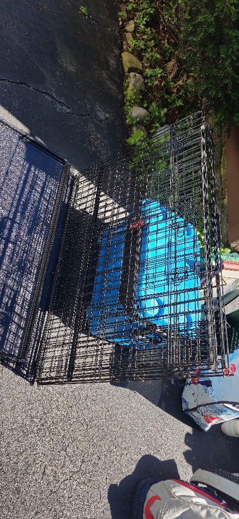 Large Dog Crate
