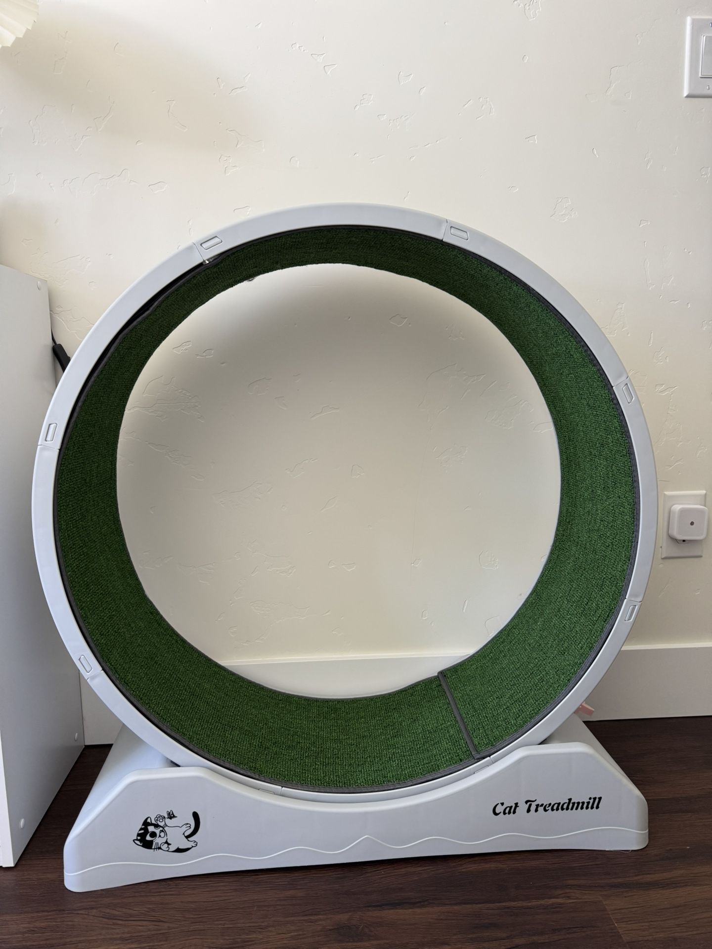 Cat Treadmill