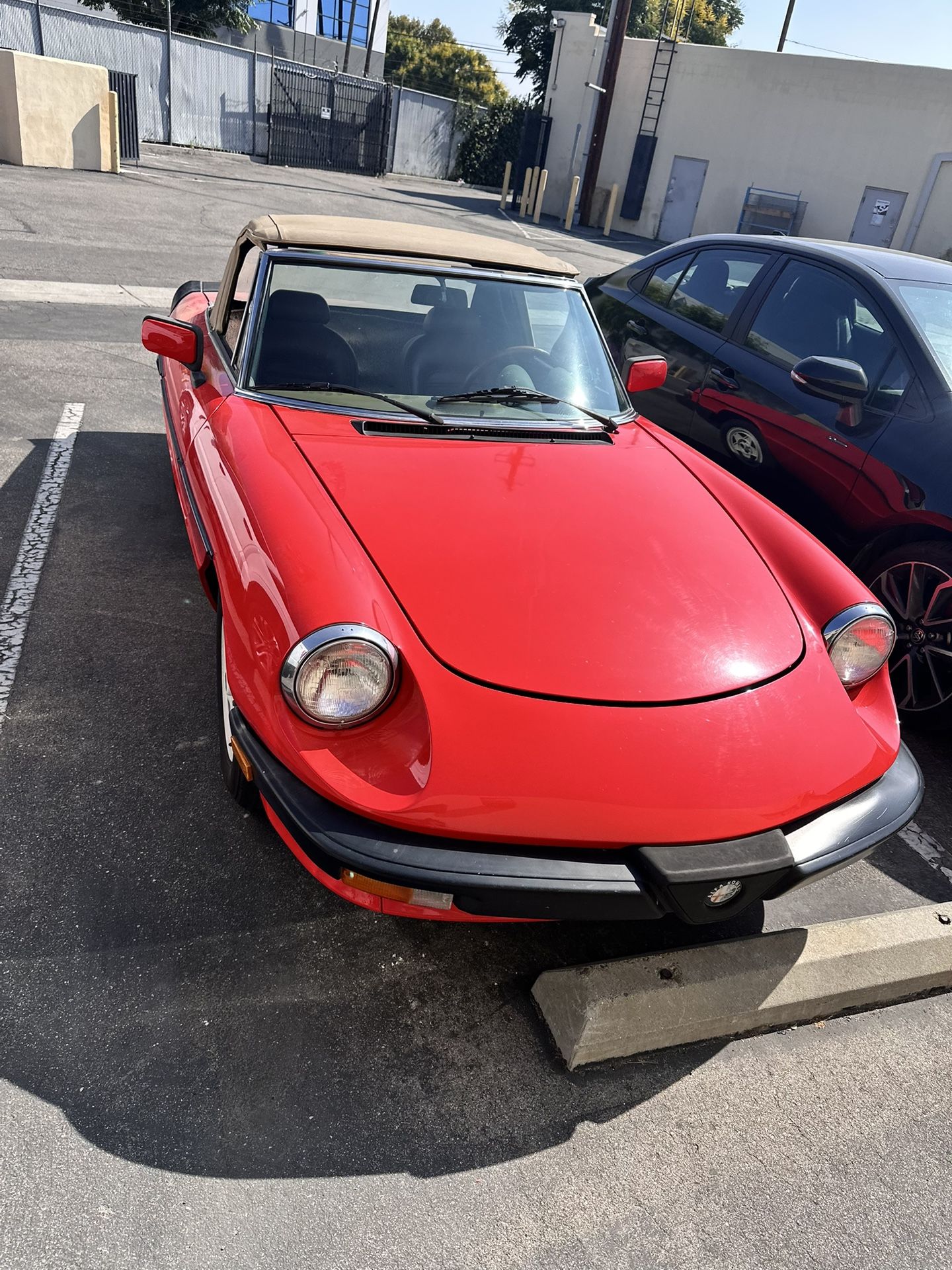 1984 Alfa Romeo Spider