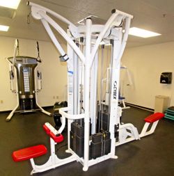 CYBEX Jungle Gym (both sides with attached pull-up bar)
