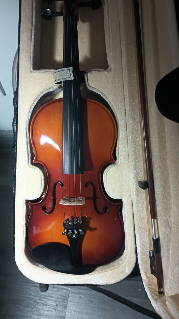 Violin Full Size 4/4 Cecilio Mint