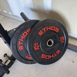 Two 25lb Bumper Plates 