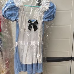 Alice in Wonderland womens costume  