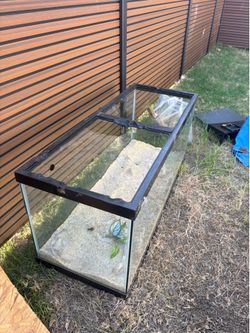 Reptile Terrarium / Glass Tank