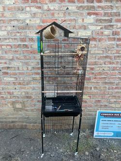 Birdcage