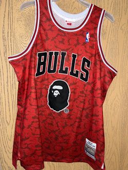 Chicago Bulls Bape Jersey