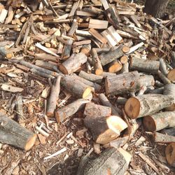 Firewood