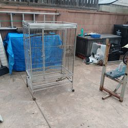 Bird Cage