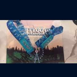 2 TICKETS TO CAMP FLOG