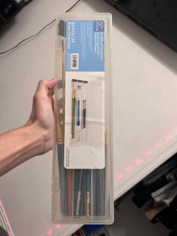 Paintbrushes with case
