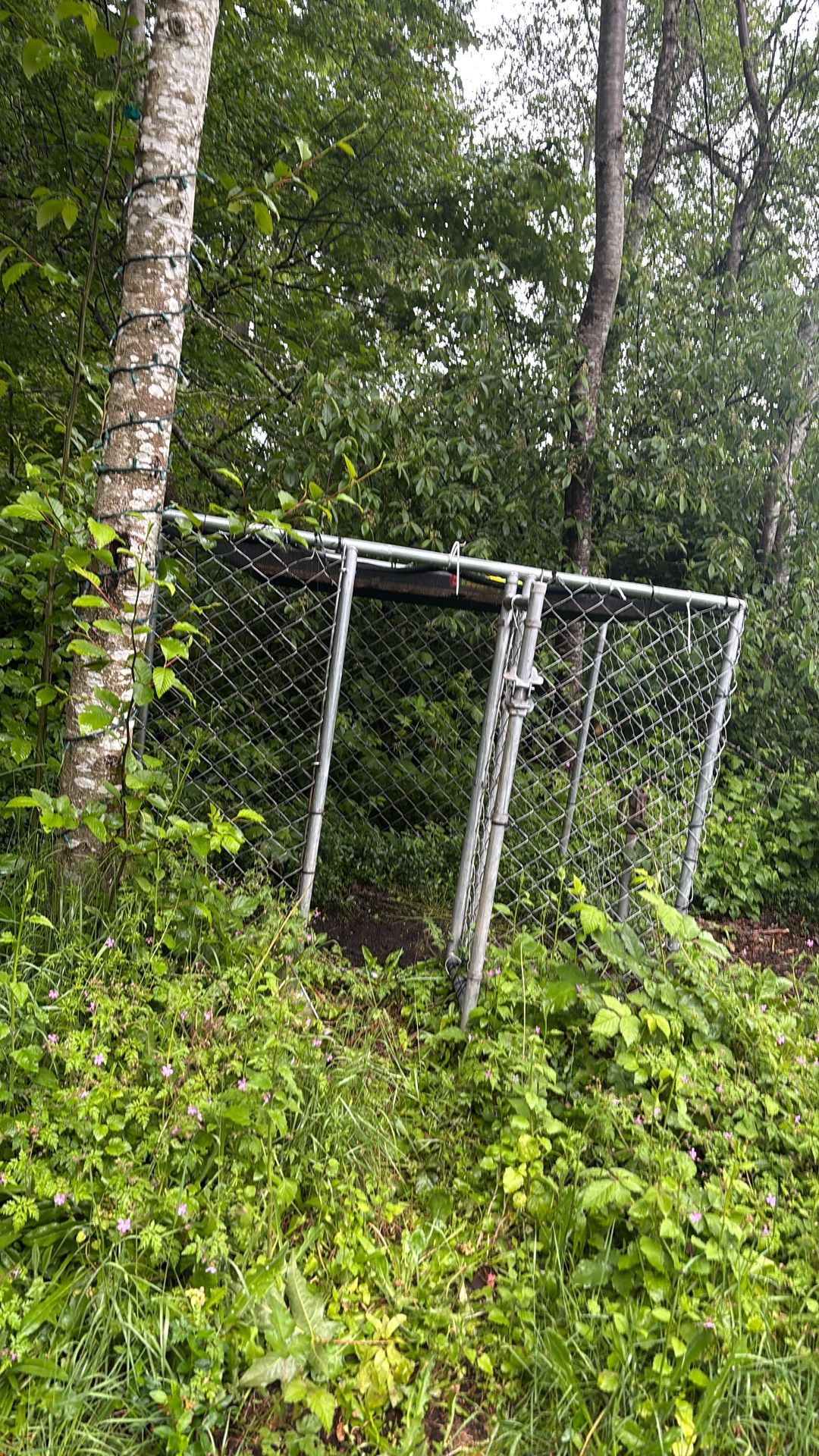 Outdoor Kennel