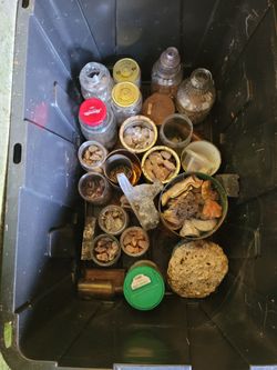 Rock Collection in Plastic Tote