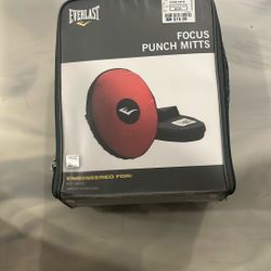 Everlasting Focus Punch Mitts